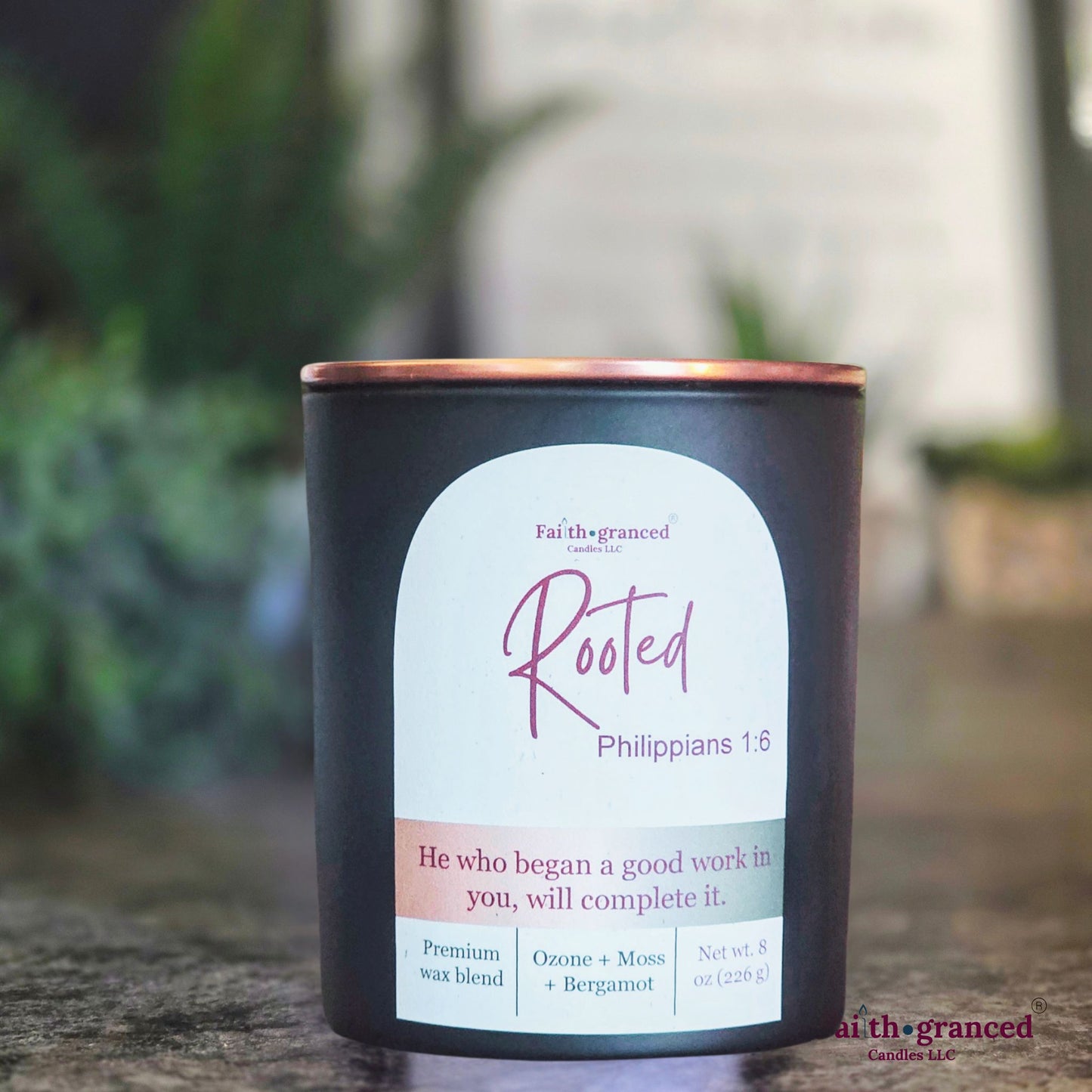 Rooted: Ozone + Moss + Bergamot