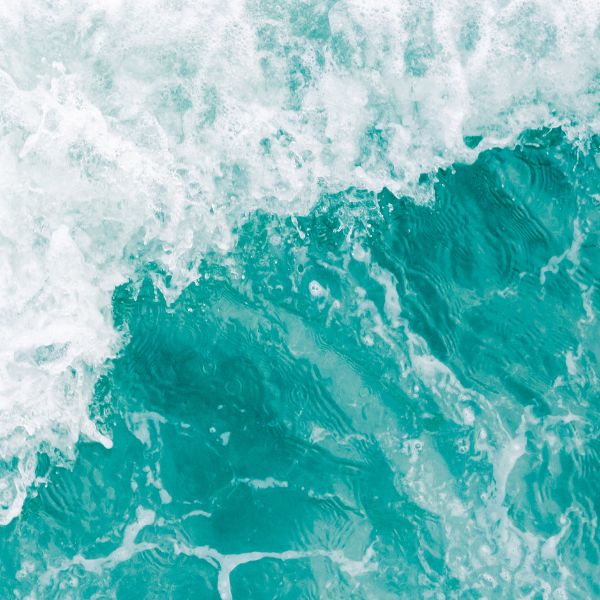 Anchored: Bergamot + Rosemary + Patchouli